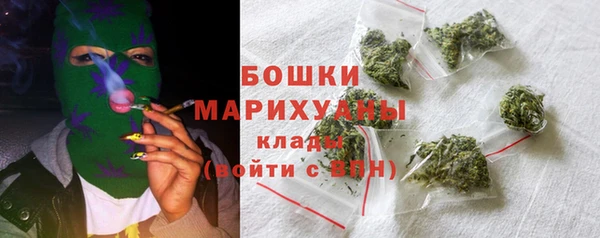 ГАЛЛЮЦИНОГЕННЫЕ ГРИБЫ Сосновый Бор